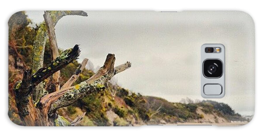 Love Galaxy Case featuring the photograph Dead Tree by Marian Farkas