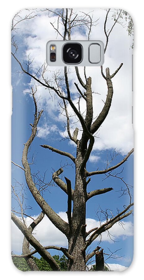 Dead Galaxy S8 Case featuring the photograph Dead Tree by William Selander