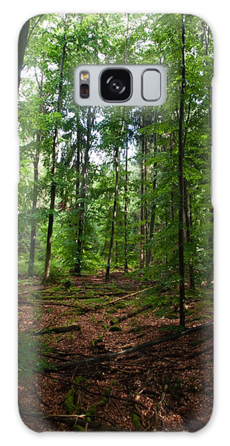 Miguel Galaxy Case featuring the photograph Deep Forest Trails by Miguel Winterpacht