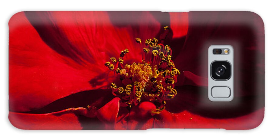 Deep Red Galaxy Case featuring the photograph Deep Red by Tikvah's Hope