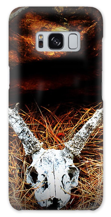 Deer Skull Galaxy Case featuring the photograph Deer Skull by Christina Ochsner