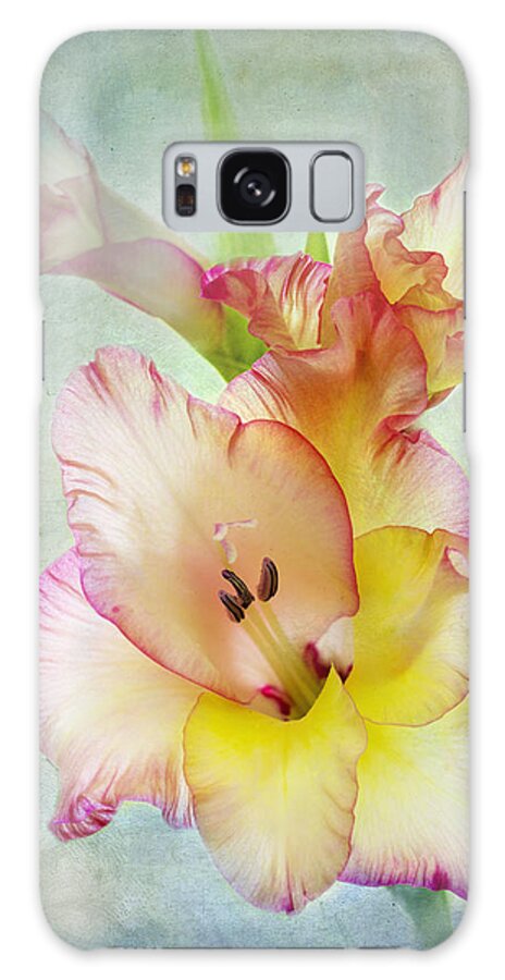 Gladiolus Galaxy Case featuring the photograph Delicate Beauty by Marina Kojukhova