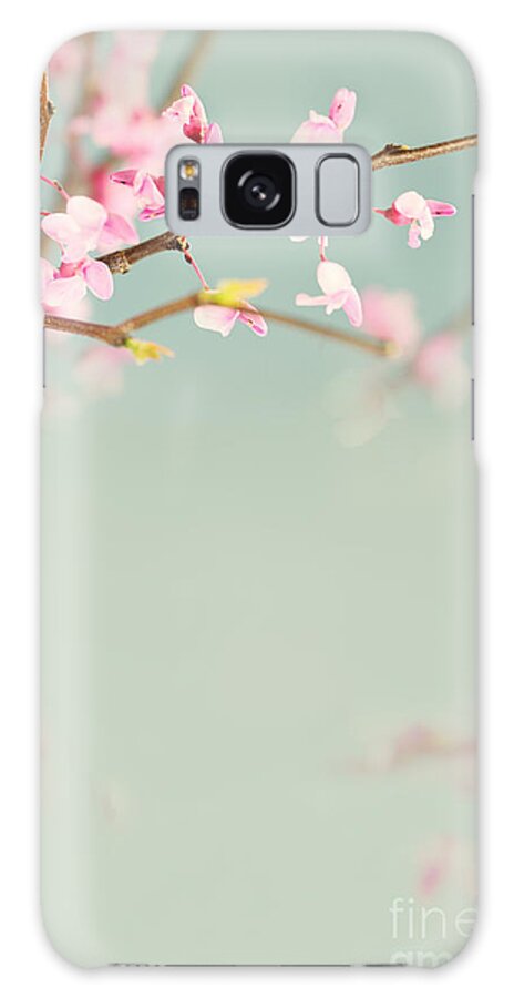 Redbud Galaxy Case featuring the photograph Delicate Spring by Stephanie Frey