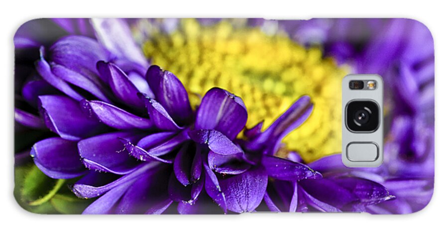 Aster Matsumoto Galaxy Case featuring the photograph Delights the Eye by Christi Kraft