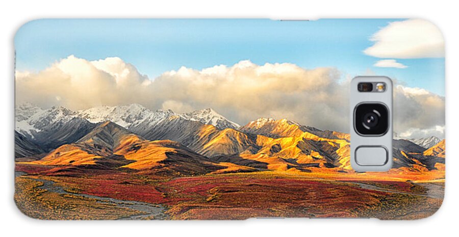 Denali Galaxy Case featuring the photograph Denali Prairie 4 - Denali National Park - Alaska by Bruce Friedman