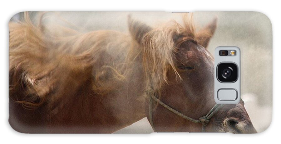 Horse Galaxy Case featuring the photograph Desensitize by Veronica Batterson