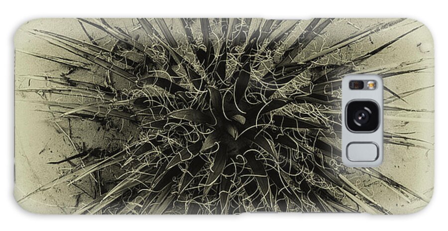 Black And White Galaxy Case featuring the photograph Desert Plant by David Waldrop