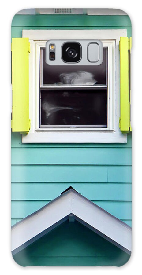 Beach Hut Galaxy Case featuring the photograph Detail Of Beach Cottage by Joseph Shields