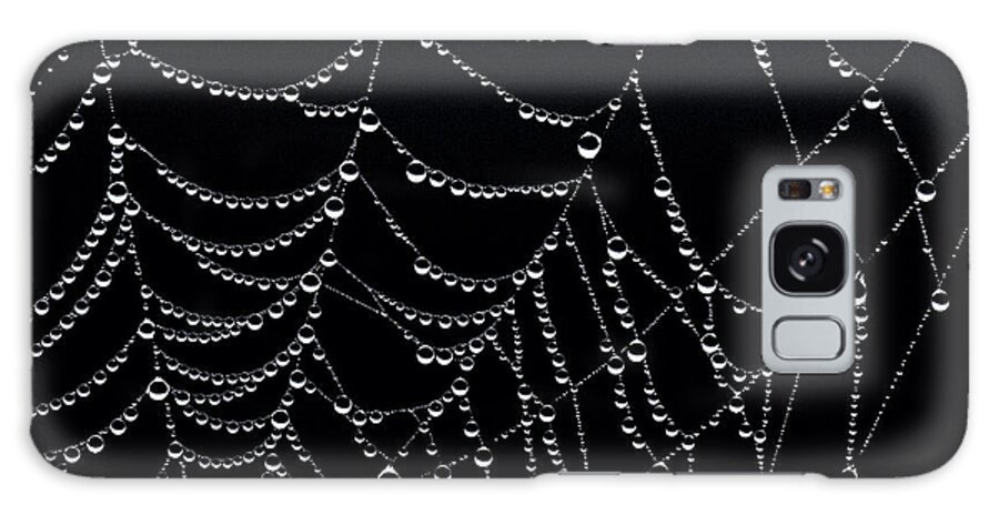 Dew Drops On Web 2 Galaxy Case featuring the photograph Dew Drops on Web 2 by Marty Saccone