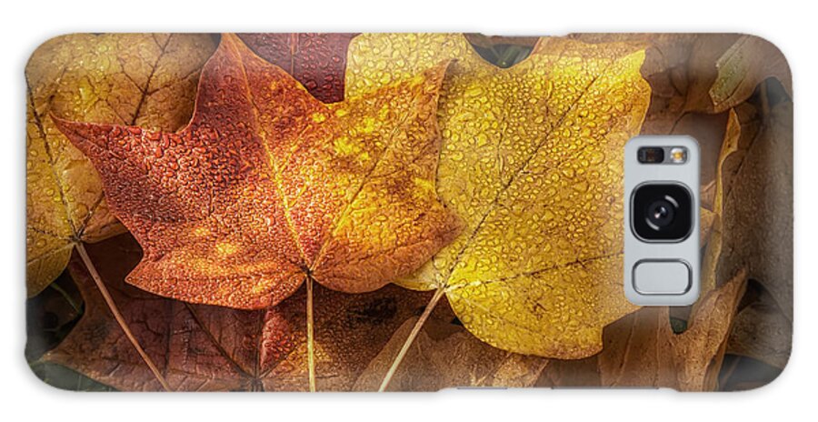 Leaf Galaxy Case featuring the photograph Dew on Autumn Leaves by Scott Norris
