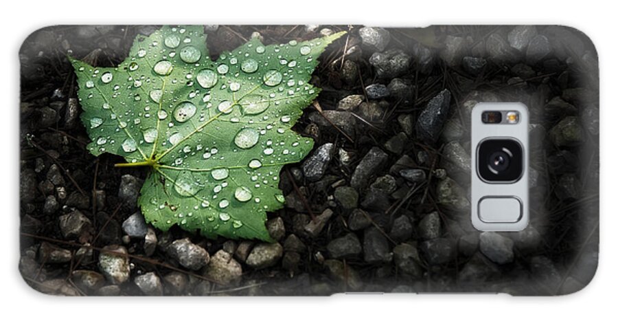 Leaf Galaxy Case featuring the photograph Dew on Leaf by Scott Norris
