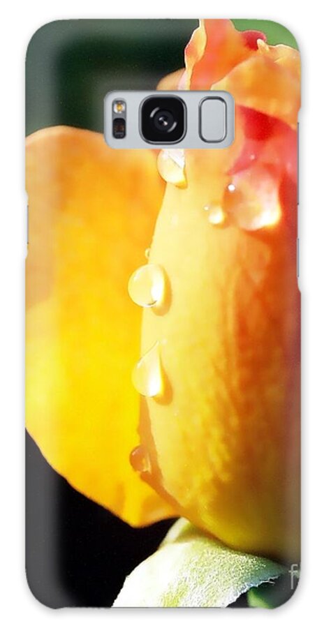 Dew On Rose Galaxy Case featuring the photograph Dew on Rose by Phil Spitze
