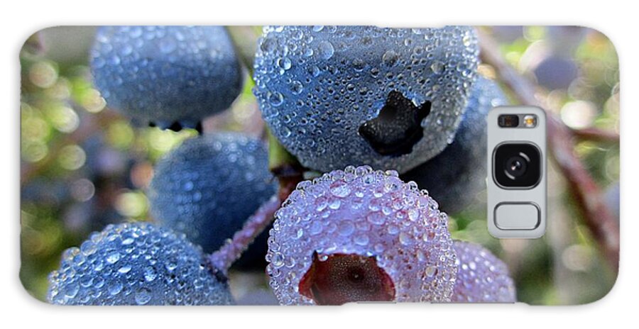 Blueberries Galaxy Case featuring the photograph Dewy Blueberries by MTBobbins Photography
