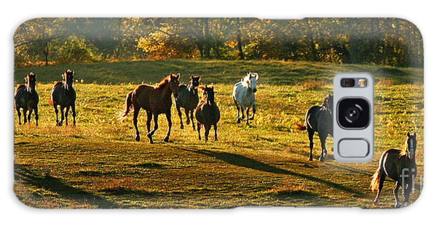 Horses Galaxy S8 Case featuring the photograph Dinner Bell by Carol Lynn Coronios