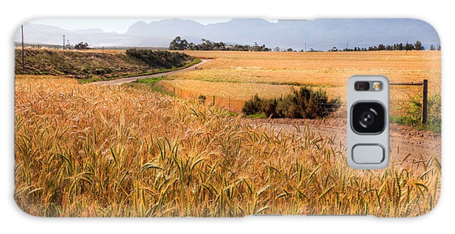 Tranquility Galaxy Case featuring the photograph Dirt Track Leading Through Wheat by Douglas Holder
