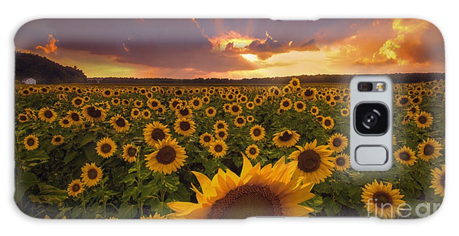 Flowers Galaxy Case featuring the photograph Divine Light by Marco Crupi