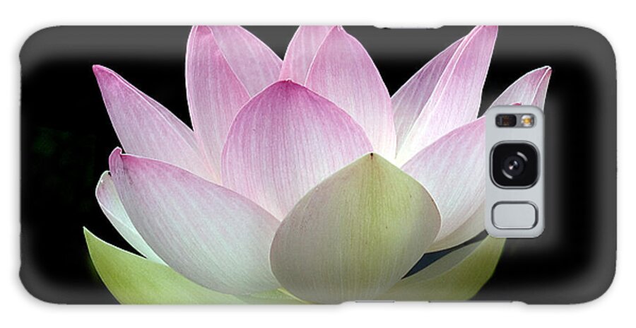 Nature Galaxy Case featuring the photograph DL002Lotus Beauty--Pale and Demure DL002 by Gerry Gantt