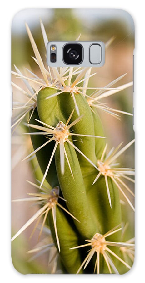 Spikes Galaxy Case featuring the photograph Do Not Touch by Brad Brizek