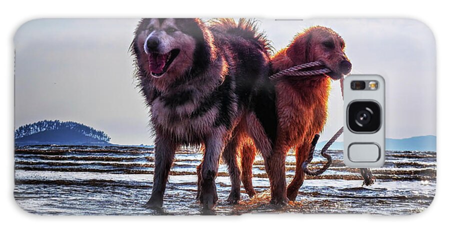 Pets Galaxy Case featuring the photograph Dogs In The Beach by Copyright, Jong-won Heo