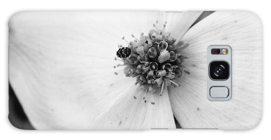 Flower Galaxy S8 Case featuring the photograph Dogwood Black and White 2 by Andrea Anderegg