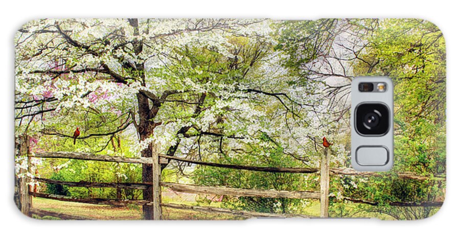 Texture Galaxy Case featuring the photograph Dogwoods and Red Birds by Darren Fisher