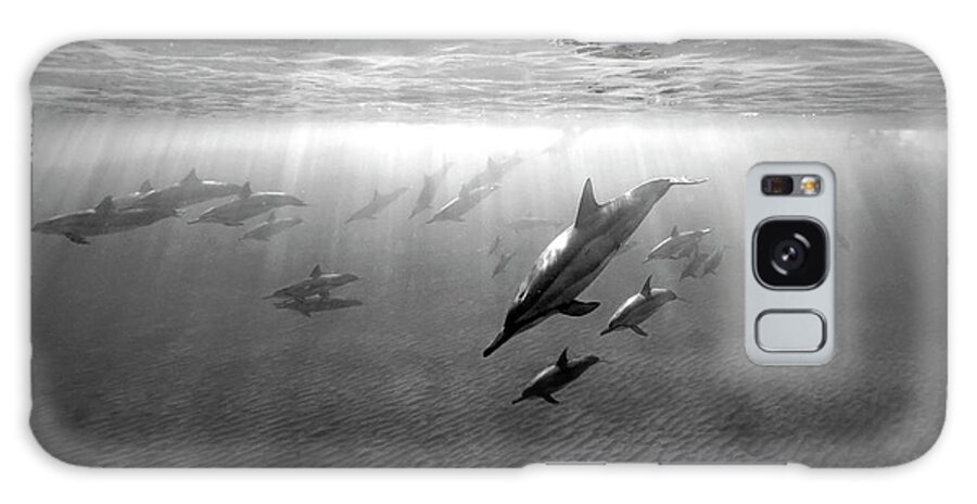 Group Galaxy Case featuring the photograph Dolphins at dawn by Artesub