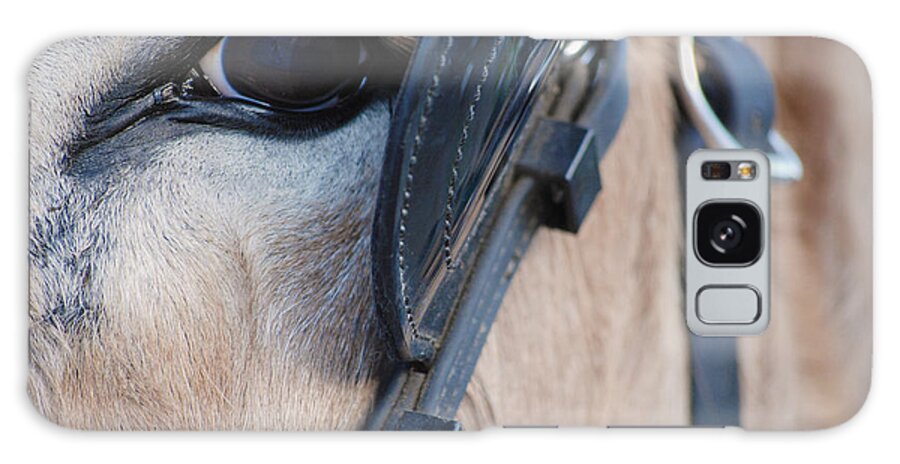 Photograph Galaxy S8 Case featuring the photograph Donkey Eye by Larah McElroy