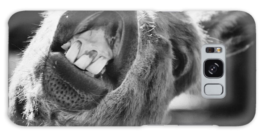 Donkey Galaxy Case featuring the photograph Donkey Smile by Stephanie McDowell