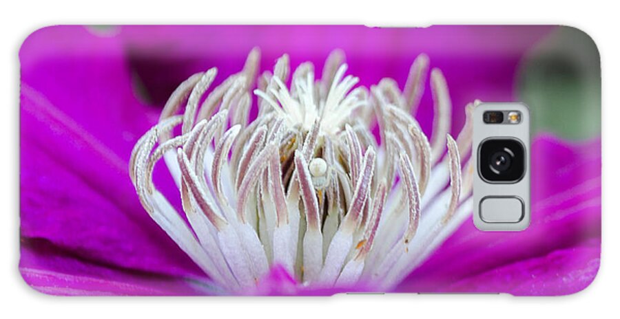 Macro Galaxy Case featuring the photograph Dr. Seuss Flower No. 1133 by Georgette Grossman