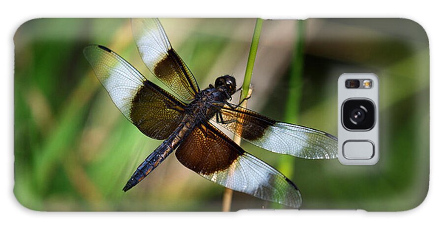 Dragon Fly Galaxy Case featuring the photograph Dragon Fly #1 by Jamieson Brown
