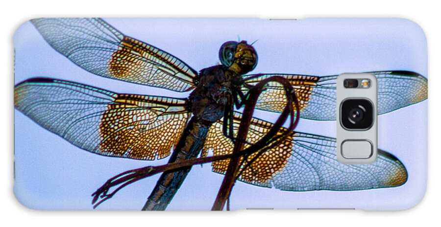 Dragonfly Galaxy Case featuring the photograph Dragonfly-Blue Study by Toma Caul