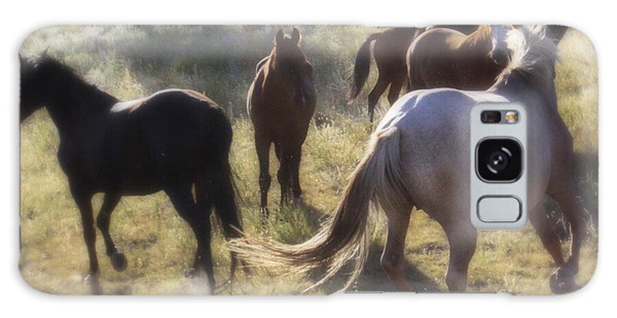 Wild Mustangs Galaxy S8 Case featuring the photograph Dreaming Wild Horses by Kate Purdy