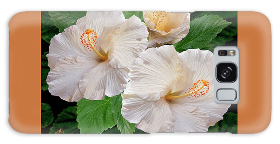Tropical Flower Galaxy Case featuring the photograph Dreamy Blooms - White Hibiscus by Ben and Raisa Gertsberg