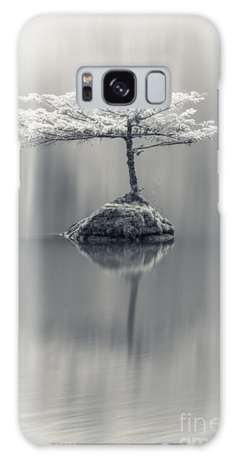 Bonsai Galaxy Case featuring the photograph Dreamy by Carrie Cole
