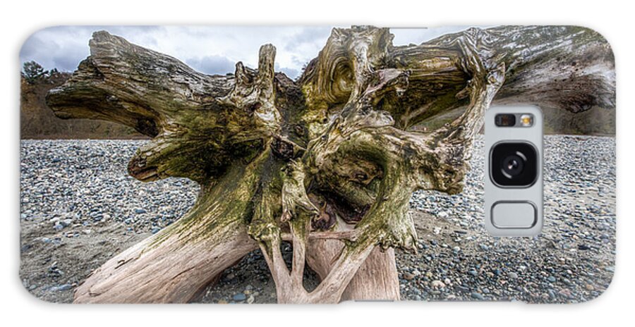Driftwood Galaxy Case featuring the photograph Driftwood Puget Sound by Tommy Farnsworth