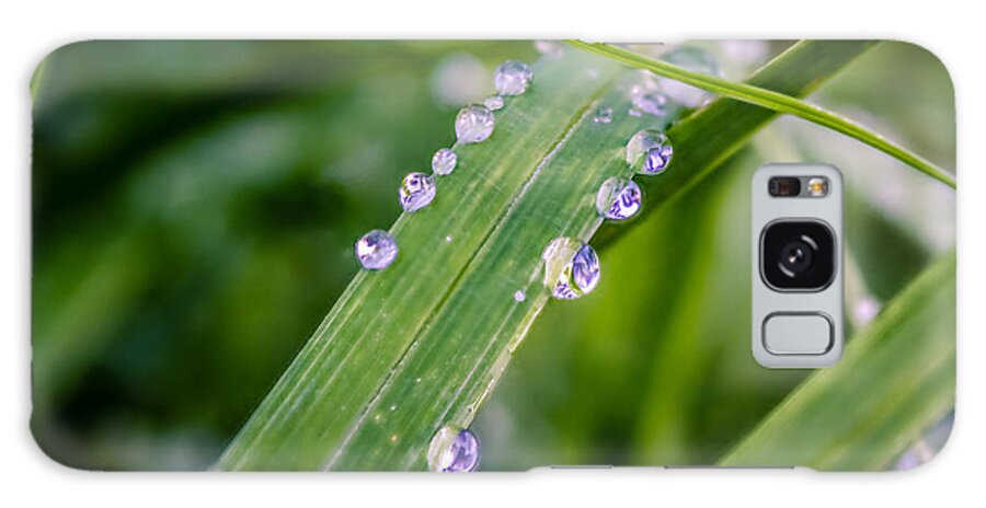 Rain Galaxy S8 Case featuring the photograph Drops On Grass by Traveler's Pics