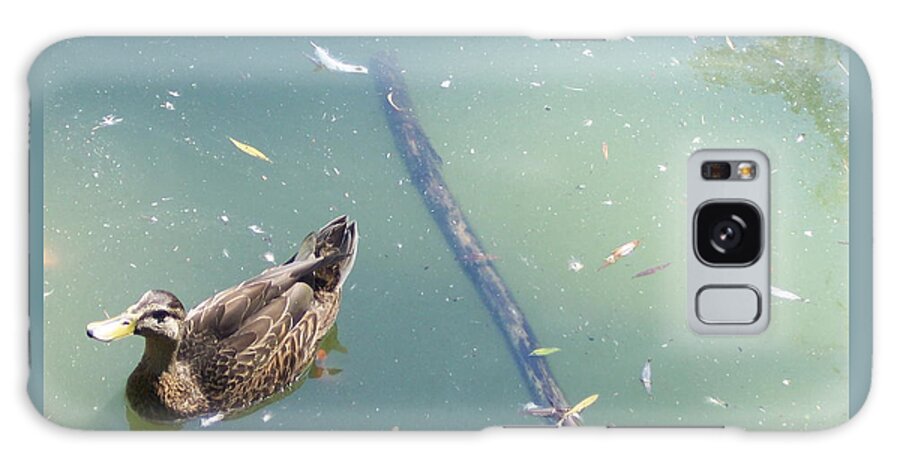 Duck Galaxy S8 Case featuring the photograph Duck in Pond by Michelle Miron-Rebbe