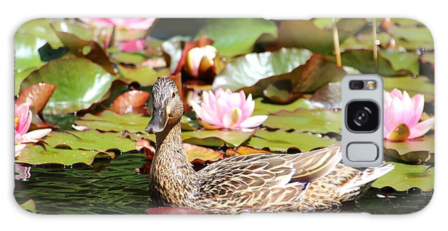 Lilies Galaxy Case featuring the photograph Duck in the Water Lilies by Amanda Mohler