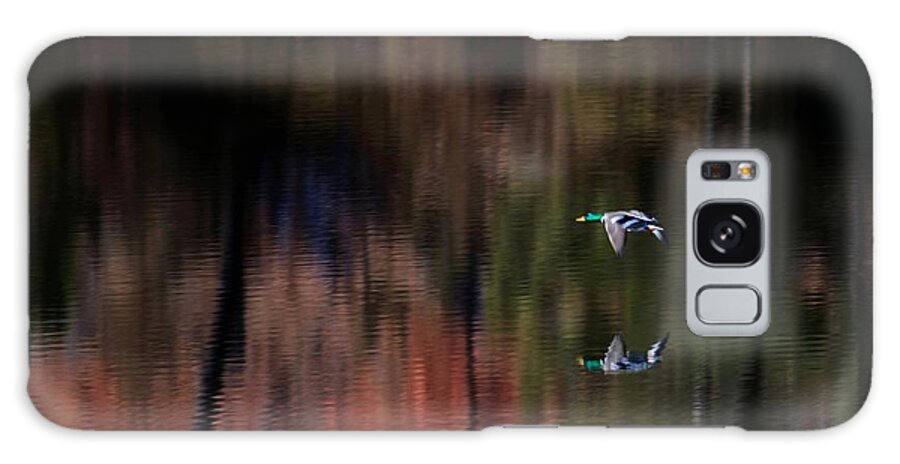 Mallard Galaxy Case featuring the photograph Duck Scape 3 by Donald J Gray