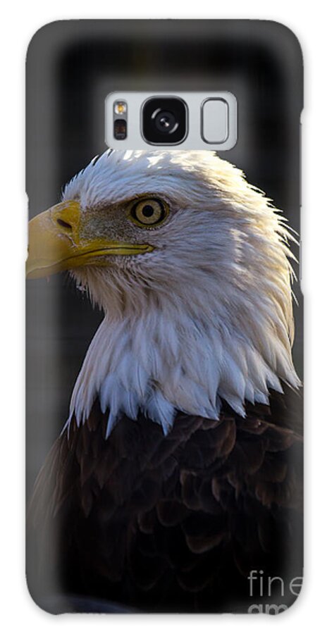 Eagles Galaxy Case featuring the photograph Eagle 1 by Jim McCain