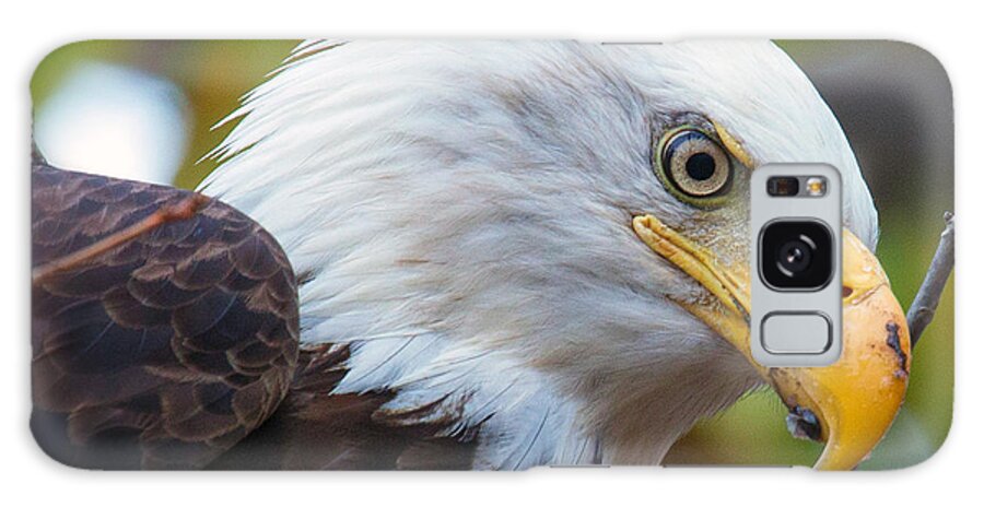 Eagle Galaxy Case featuring the photograph Eagle Eye by Alan Raasch