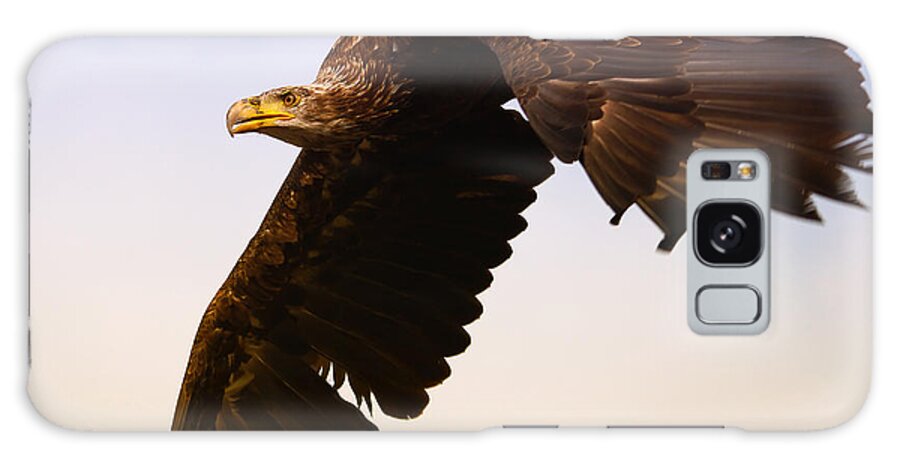 Eagle Galaxy Case featuring the photograph Eagle in flight by Nick Biemans