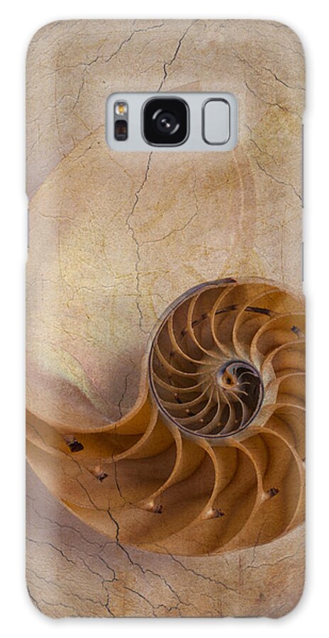 Earthy Galaxy S8 Case featuring the photograph Earthy Nautilus Shell by Garry Gay