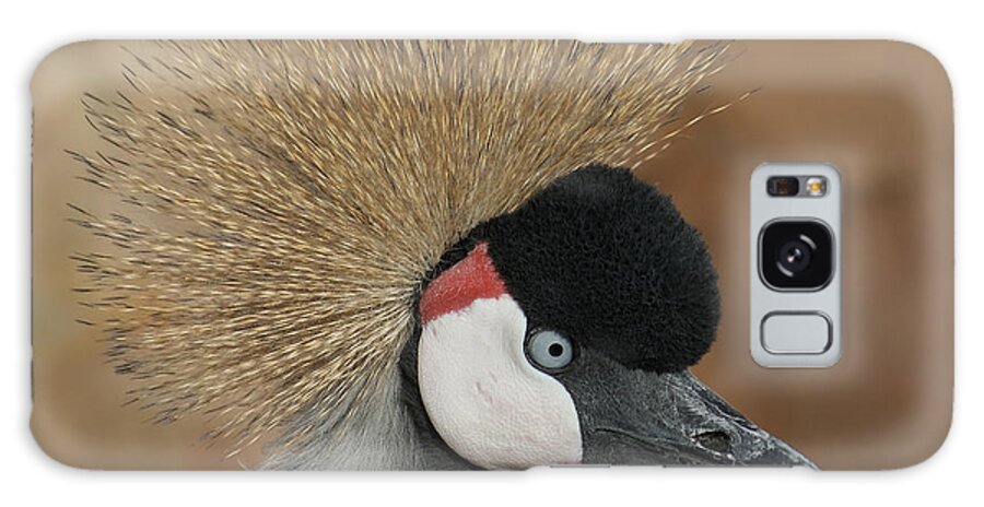 African Crowned Cranes Galaxy S8 Case featuring the photograph East African Crowned Crane by Ernest Echols