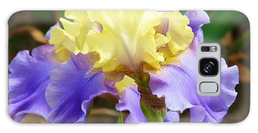 Flower Galaxy S8 Case featuring the photograph Easter Iris by Jeanette Oberholtzer