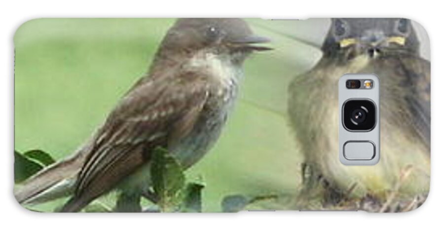 Birds Galaxy S8 Case featuring the photograph Eastern Phoebe Family by Natalie Rotman Cote