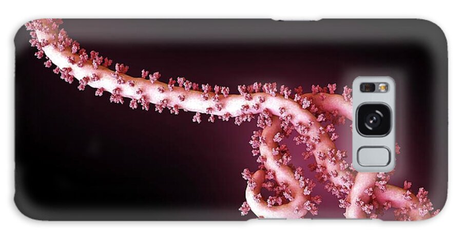 Ebola Galaxy Case featuring the photograph Ebola Virus Particle by Maurizio De Angelis