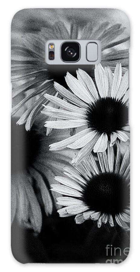 Asteraceae Family Galaxy Case featuring the photograph Echinacea Noir by Venetta Archer