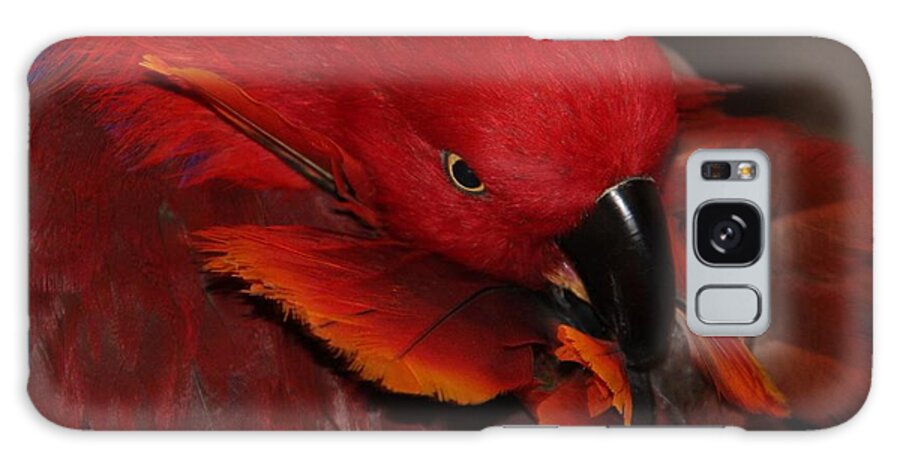 Eclectus Galaxy Case featuring the photograph Eclectus Victoria by Andrea Lazar