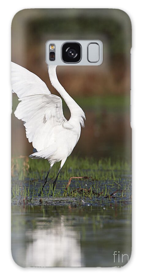 Egret Galaxy S8 Case featuring the photograph Egret dancing by Bryan Keil